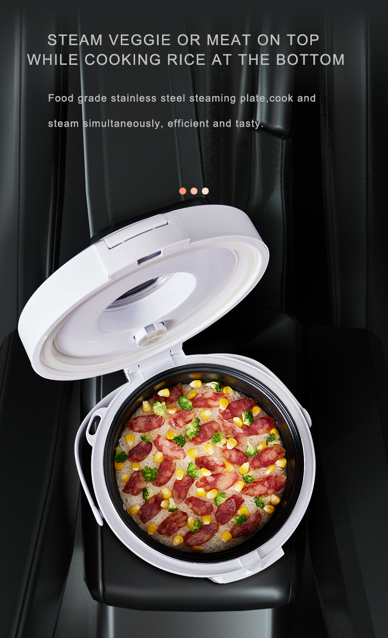 24V Rice Cooker  Truck Soup St - Camping Cooking Meals recension och pris