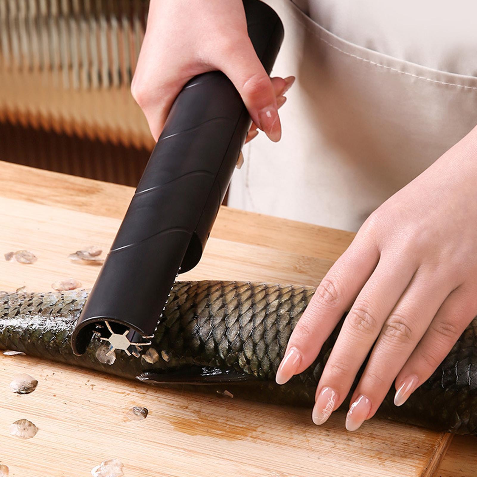 Fish Scaler Cordless Handheld  - Camping Cooking Meals recension och pris