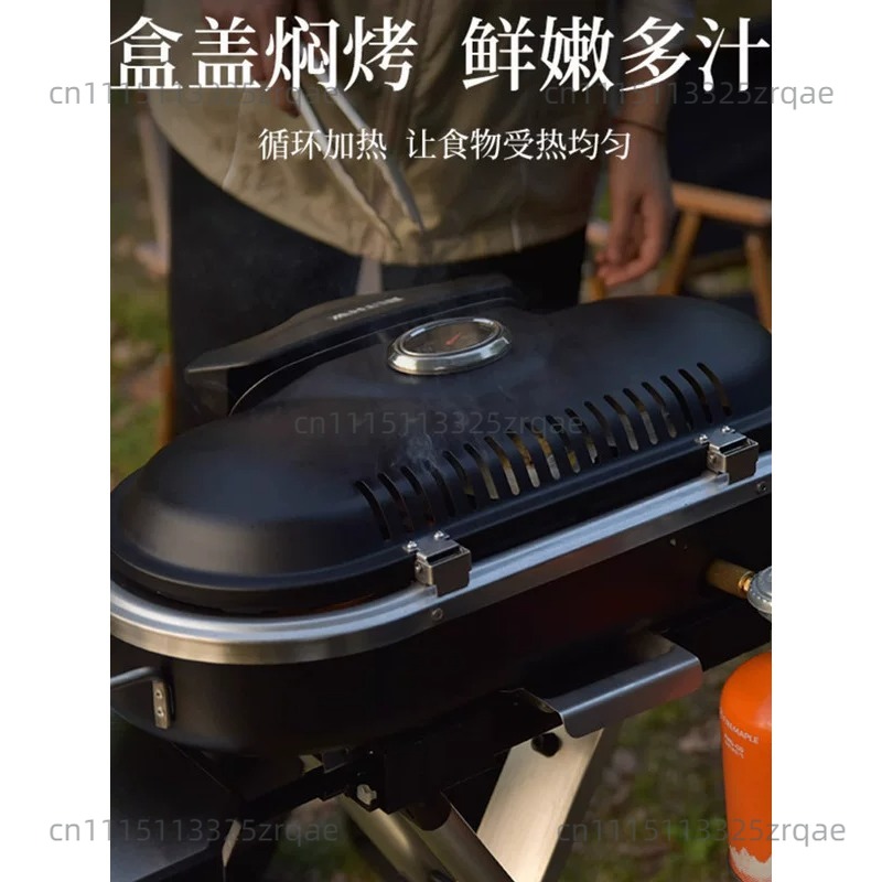 Outdoor Indoor Gas Cooking Sto - Camping Cooking Propane recension och pris