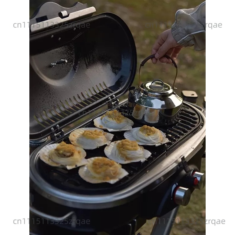 Outdoor Indoor Gas Cooking Sto - Camping Cooking Propane recension och pris